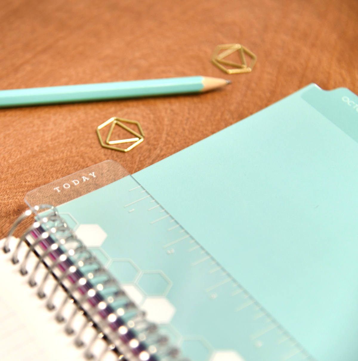 Plum Paper SnapIn Bookmark