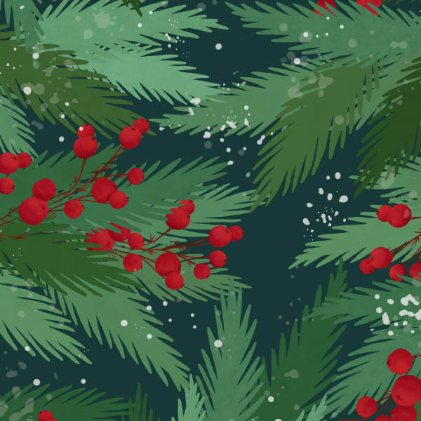 Holly Pine