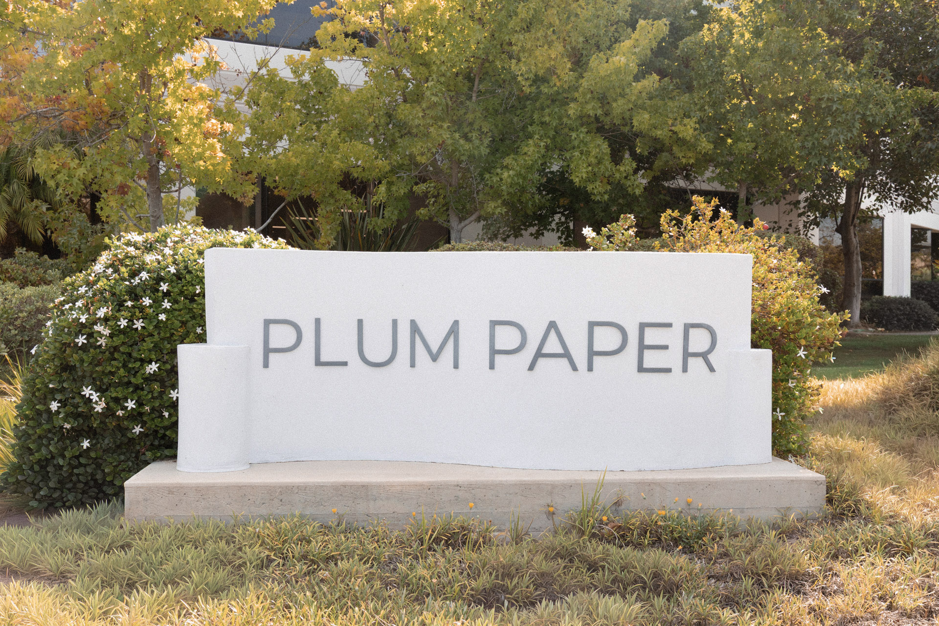 Plum Paper Sign Plum Paper Sign