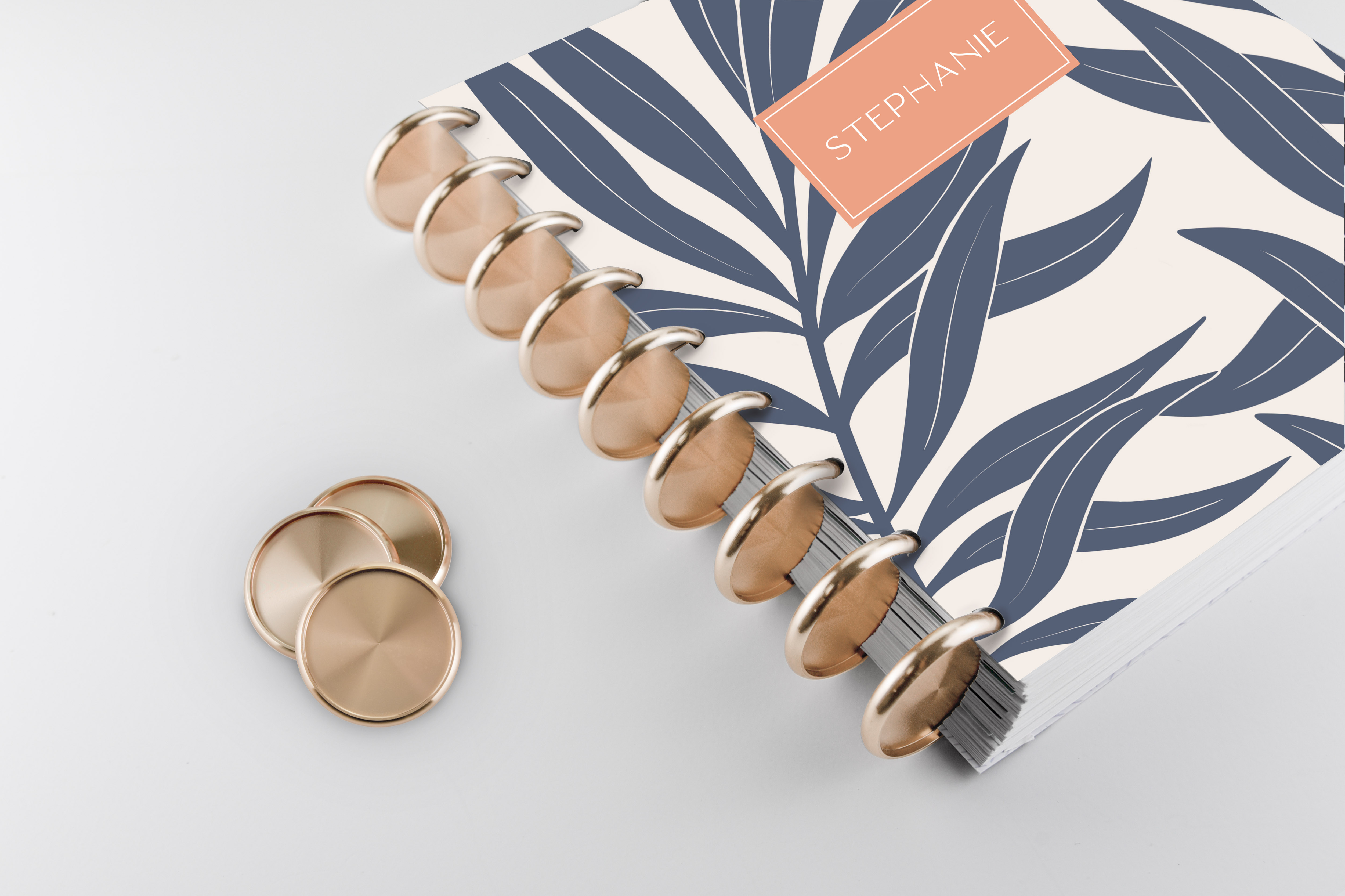 READ/DOWNLOAD* LANG BOUNTIFUL BLESSINGS™ 2023 SPIRAL ENGAGEMENT - View #3