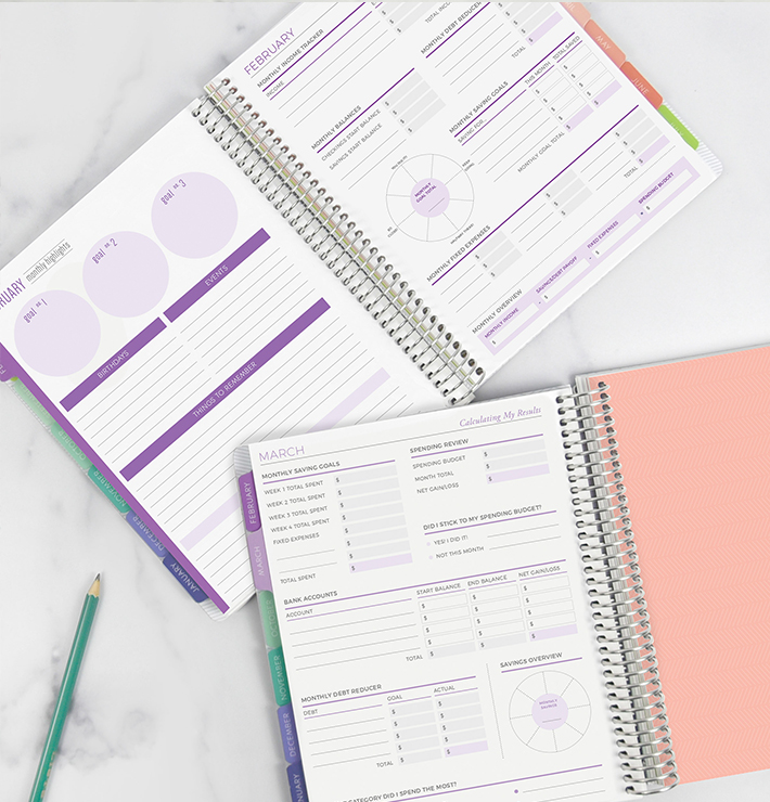 Two Financial Planners showing the Financial Goals & Financial Reflection Pages