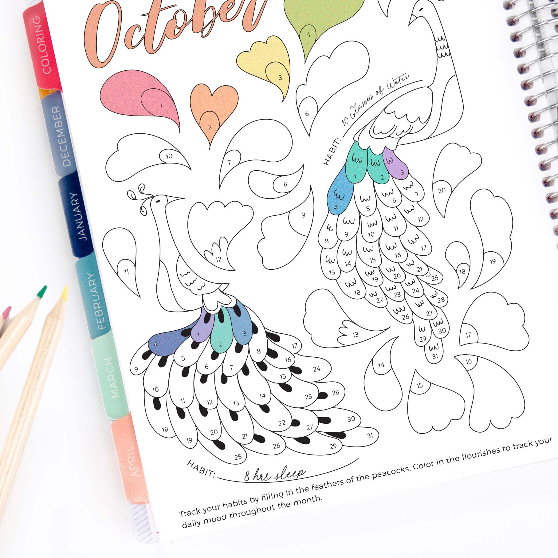 October page of Color Tracker colored with colored pencils. October page of Color Tracker colored with colored pencils.