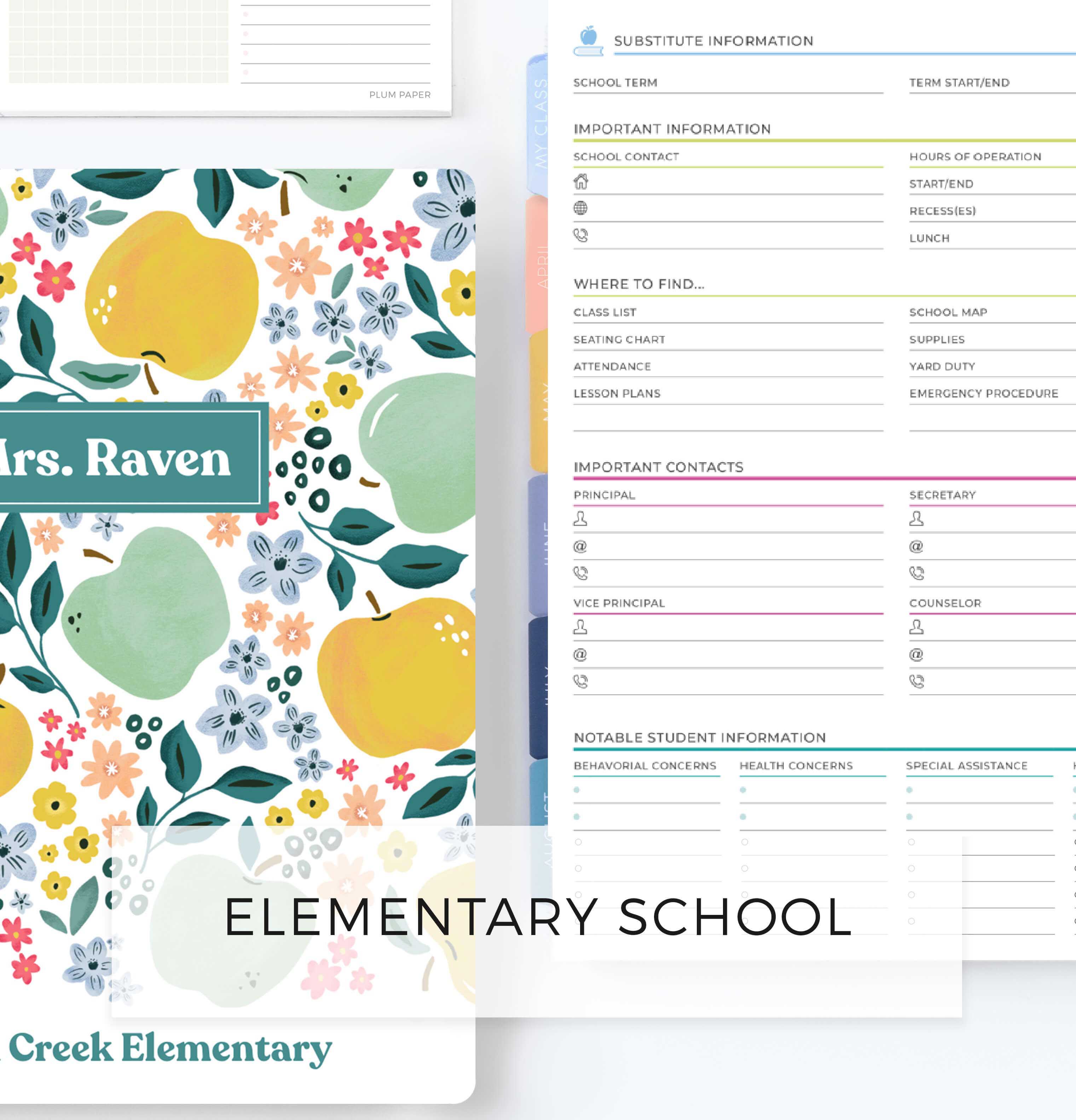 Custom teacher planner for elementary school with lesson planning Custom teacher planner for elementary school with lesson planning