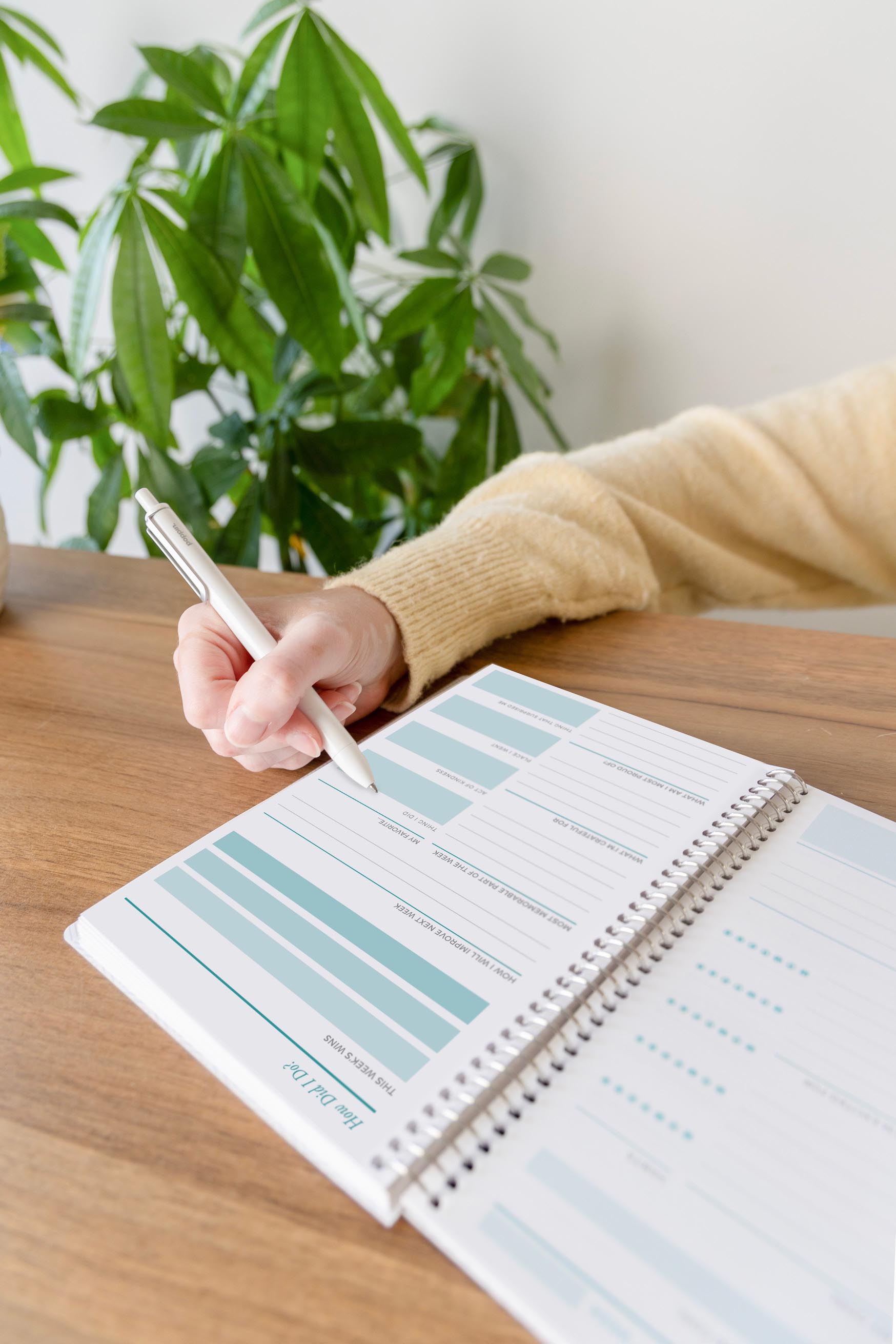 writing in a goal planner