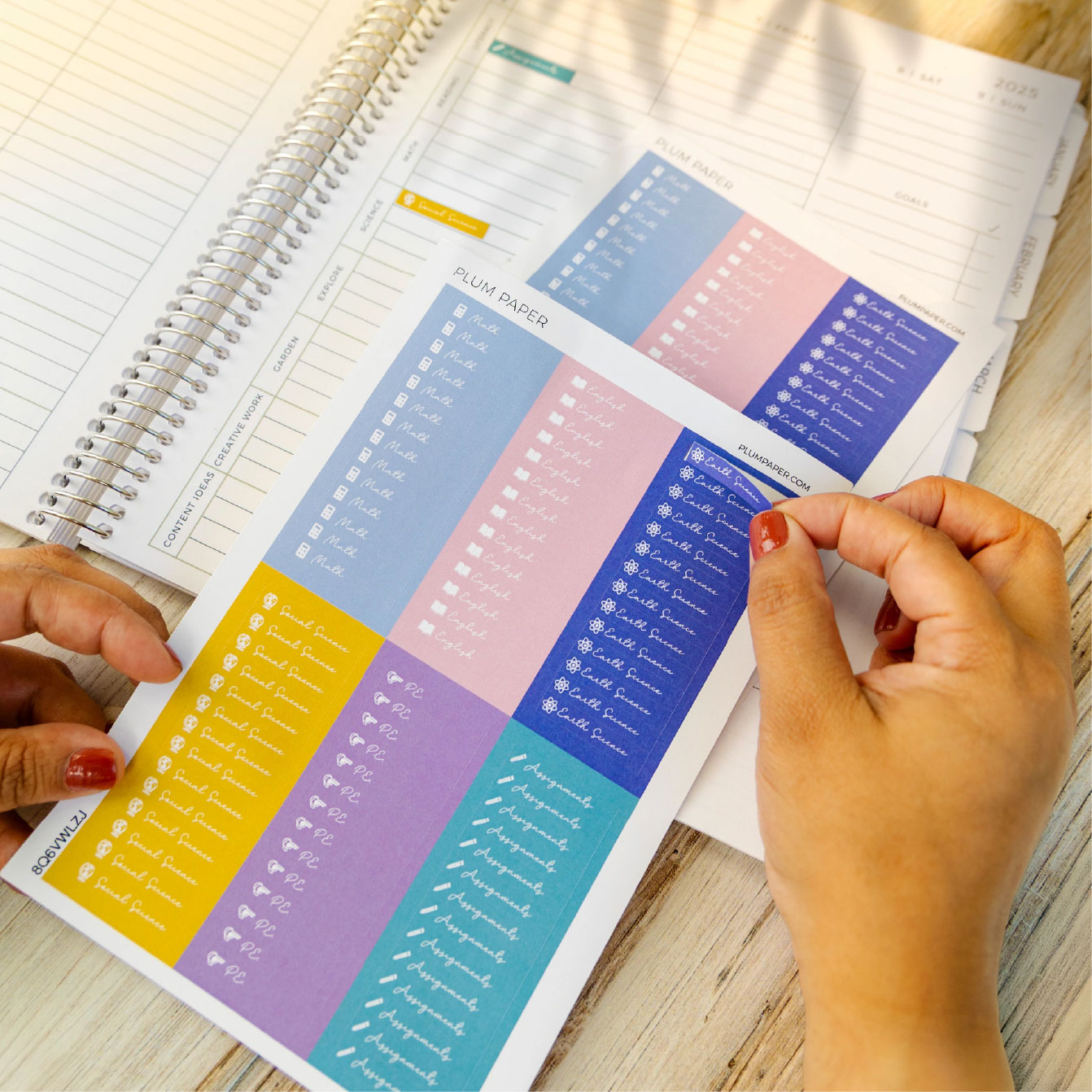 Plum paper's academic icon stickers sheets for planner Plum paper's academic icon stickers sheets for planner