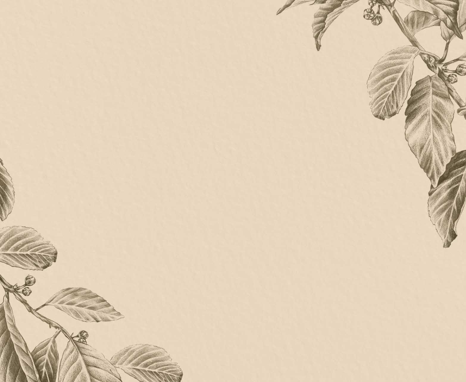 Cherry Tree Personalized Stationery