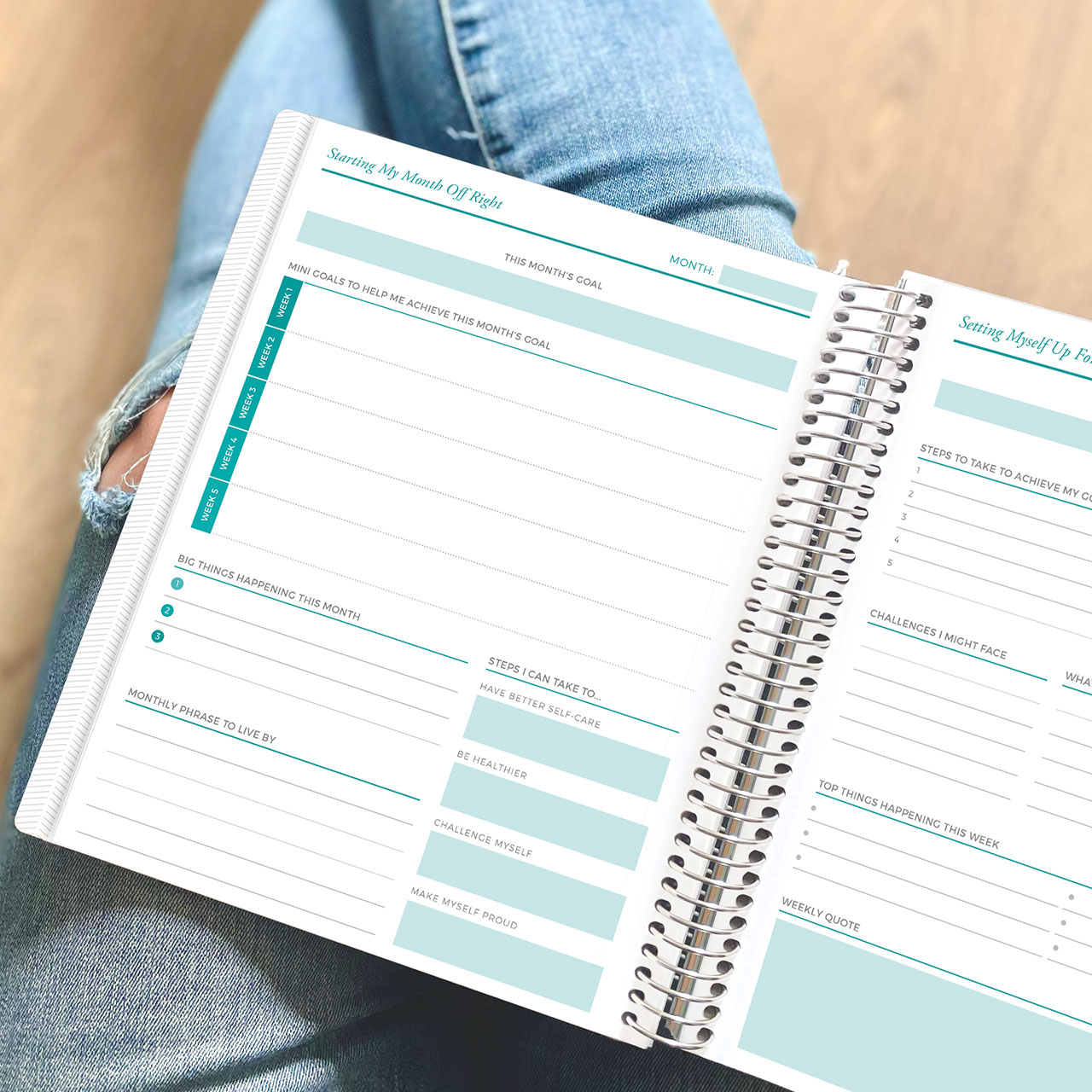 plum paper goal planner