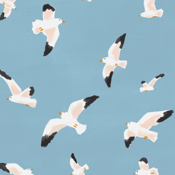 Seaside Gulls