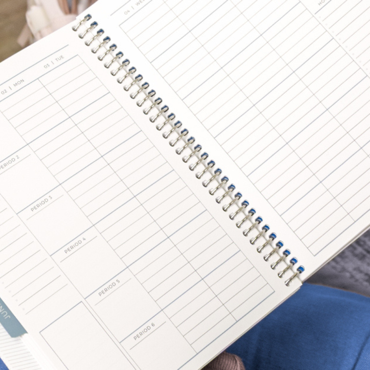 Teacher Planner Layouts by Plum Paper