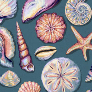 Seashell Collage